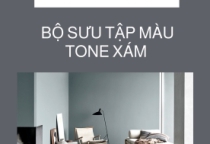 Bảng màu Dullux trang 3