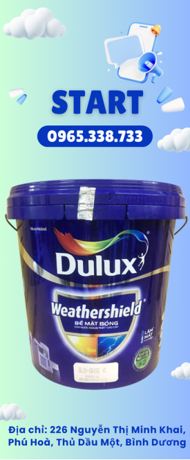 SƠN DULUX