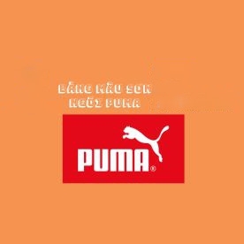 BẢNG MÀU SƠN NGÓI PUMA MỚI BẢNG MÀU SƠN NGÓI PUMA MỚI